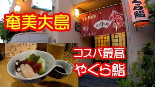 【奄美居酒屋動画紹介】奄美大島　瀬戸内町古仁屋のやぐら鮨はコスパ最高。島の人とも仲良くなれて、料理は最高、雰囲気も最高　いいお店でした。