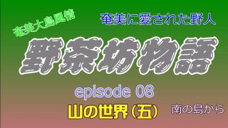 【シマ唄動画紹介】野茶坊物語　epsode08　山の世界（五）奄美に愛された野人　奄美大島風情