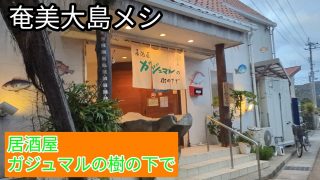 【奄美居酒屋動画紹介】奄美大島にきたら、居酒屋「ガジュマルの樹の下で」に行くと決めていた