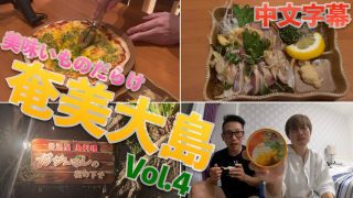 【奄美居酒屋動画紹介】【奄美大島】何を食べても正解な居酒屋 Vol.4〜我們在奄美的小酒館吃了美食 Vol.4〜（中文字幕）