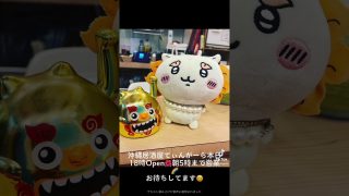 【沖縄居酒屋動画紹介】#shorts #tiktok #沖縄居酒屋てぃんがーら#ちいかわ#誕生日