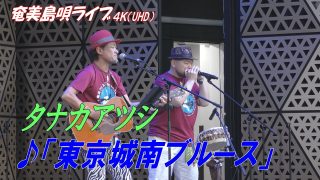 【シマ唄動画紹介】「♪東京城南ブルース」タナカアツシ in 奄美フェスタ2022