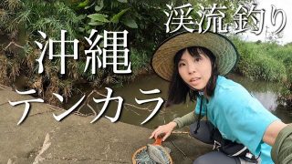 【沖縄居酒屋動画紹介】沖縄で渓流釣り！？テンカラで狙うあの魚【沖縄釣り旅①】