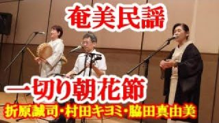 【シマ唄動画紹介】一切り朝花節　折原誠司・村田キヨミ・脇田真由美　奄美民謡　奄美シマ唄　amami【字幕】