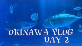【沖縄居酒屋動画紹介】【vlog】沖縄女子旅〜2日目〜|ごほうび旅行✈️|めんだこvlog|