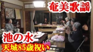 【シマ唄動画紹介】池の水　天城85歳祝い　奄美民謡　徳之島シマ唄　amami【字幕】