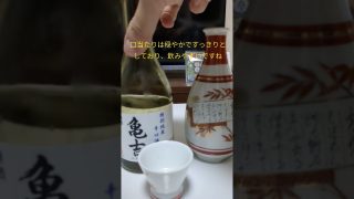 【沖縄居酒屋動画紹介】昨日は沖縄の居酒屋でハブ酒ハイボールなるものを飲みましたが身体に効きそうなハイボールでした。#日本酒 #亀吉　#お酒