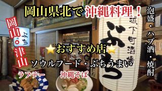 【沖縄居酒屋動画紹介】【岡山グルメ】岡山県北で沖縄料理！『城下町酒場ぶち』ソウルフード・ぶちうまい！岡山・津山おすすめ店！