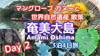 【奄美居酒屋動画紹介】【奄美大島3泊4日#2】マングローブカヌーと金作原散策＆めちゃうま居酒屋『誇羅司屋』/amami oshima