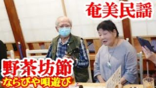 【シマ唄動画紹介】野茶坊節　ならびや唄遊び　奄美民謡　奄美シマ唄　amami【字幕】