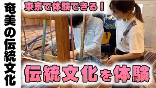 【シマ唄動画紹介】奄美大島の伝統文化を東京で体験できる！まるごと奄美in東京の体験コーナーを紹介！