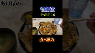 【奄美居酒屋動画紹介】奄美大島のローカル店のカツ丼　#奄美大島 #shotrs #飯テロ