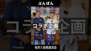 【奄美居酒屋動画紹介】ぶんばんx奄美大島開運酒造【コラボ企画】8月13日スタート!! #れんと #キャンペーン #奄美大島