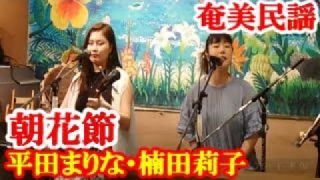 【シマ唄動画紹介】朝花節　平田まりな・楠田莉子　奄美民謡　奄美シマ唄　amami【字幕】