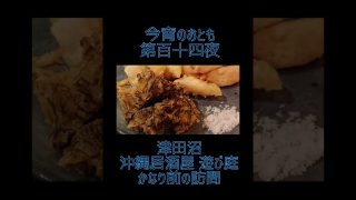 【沖縄居酒屋動画紹介】☪︎*｡꙳今宵のおとも☽︎‪︎.*·̩͙ 津田沼 沖縄居酒屋 遊び庭 かなり前の訪問【第百十四夜】#shorts