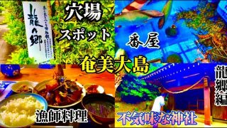 【シマ唄動画紹介】奄美大島の穴場スポット行って、漁師料理食って、山奥の不気味神社にたどり着く旅