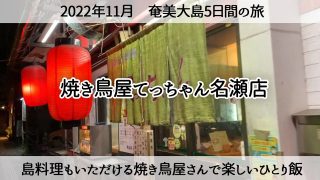 【奄美居酒屋動画紹介】【奄美ひとり旅】島料理も堪能できる「焼鳥屋てっちゃん名瀬店」楽しかった1人居酒屋 2022年11月25日