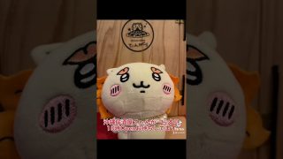 【沖縄居酒屋動画紹介】#shorts #tiktok #沖縄居酒屋てぃんがーら#ちぃかわ