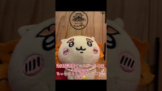 【沖縄居酒屋動画紹介】#shorts #tiktok #沖縄居酒屋てぃんがーら#ちぃかわ