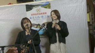 【シマ唄動画紹介】くるだんど節　森永あすか　藤田晶　奄美民謡　奄美シマ唄　amami【字幕】