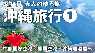 【沖縄居酒屋動画紹介】冬の沖縄旅行🌺3泊4日　沖縄居酒屋/リゾートホテル🍔 UFO Burger & Sandwich CAFE