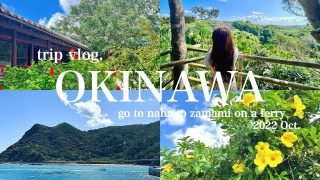 【沖縄居酒屋動画紹介】【沖縄vlog.】那覇と座間味で過ごす5日間🐋🌺｜レンタカー無し｜グルメも観光も盛りだくさん🤍