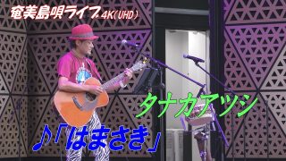 【シマ唄動画紹介】「♪はまさき」タナカアツシ in 奄美フェスタ2022