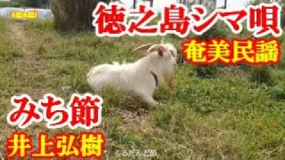 【シマ唄動画紹介】みち節　井上弘樹　奄美民謡　徳之島シマ唄　amami【字幕】