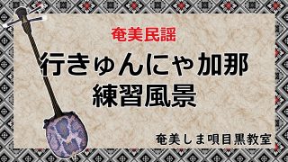 【シマ唄動画紹介】【奄美民謡/練習風景】行きゅんにゃ加那【奄美シマ唄目黒教室】