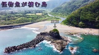 【シマ唄動画紹介】この島…本気でハンパない！！マサポン&さだれん奄美の釣りバカ日記コラボ