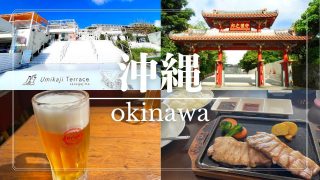 【沖縄居酒屋動画紹介】【沖縄観光】これを見れば間違いない！おすすめ観光スポット・グルメ紹介！(ウミカジテラス/首里城/アメリカンビレッジ/沖縄居酒屋)