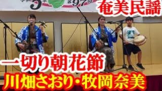 【シマ唄動画紹介】一切り朝花節　川畑さおり・牧岡奈美　奄美民謡　奄美シマ唄　amami【字幕】