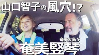 【シマ唄動画紹介】放浪唄者のブルース受け継ぐ　奄美竪琴　奄美大島５