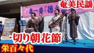 【シマ唄動画紹介】一切り朝花節　栄百々代・教室　奄美民謡　奄美シマ唄　amami【字幕】