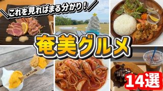 【奄美居酒屋動画紹介】【2024 奄美の名物グルメ】伝統料理や映えカフェなど人気のグルメまとめ14選！