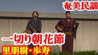 【シマ唄動画紹介】一切り朝花節　里朋樹・歩寿　奄美民謡　奄美シマ唄　amami【字幕】