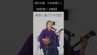 【シマ唄動画紹介】28日目/180日　加計呂麻島島暮らし古民家暮らし　 島唄と島グチの伝承　#shorts