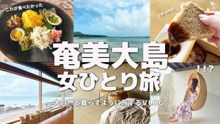 【奄美居酒屋動画紹介】【奄美大島/女ひとり旅】疲れた心を最高に癒す宿が奄美にあった🏝️【amami vlog】