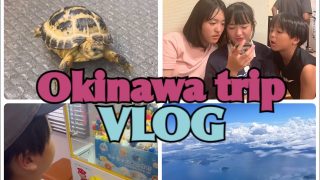 【沖縄居酒屋動画紹介】VLOG/沖縄旅行/Part6/最終章/沖縄居酒屋/オリオンビール/飛行機/資さんうどん/UFOキャッチャー/リクガメ/ロシアリクガメ/新しい家族/思い出