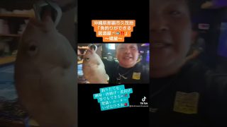 【沖縄居酒屋動画紹介】魚釣りができる居酒屋「琉星」さん🍻#沖縄グルメ #沖縄 #沖縄観光 #いぜなひさお #おきなわ #沖縄ひーちゃんねる #沖縄イベント #居酒屋 #魚釣り #那覇市 #国際通り