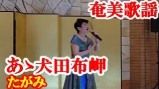【シマ唄動画紹介】あゝ犬田布岬　たがみ　奄美歌謡　amami【字幕】2024,11,3