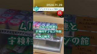 【奄美居酒屋動画紹介】ムルfeel BASE オープンしました！奄美市名瀬末広町13-3 銀座通り商店街です