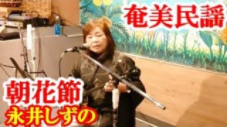 【シマ唄動画紹介】朝花節　永井しずの　奄美民謡　奄美シマ唄　amami【字幕】