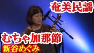 【シマ唄動画紹介】むちゃ加那節　新谷めぐみ　奄美民謡　奄美シマ唄　amami【字幕】